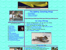 Tablet Screenshot of goldray.com